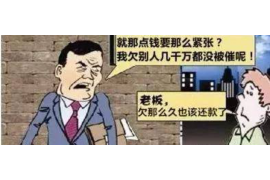 涟源债务清欠服务